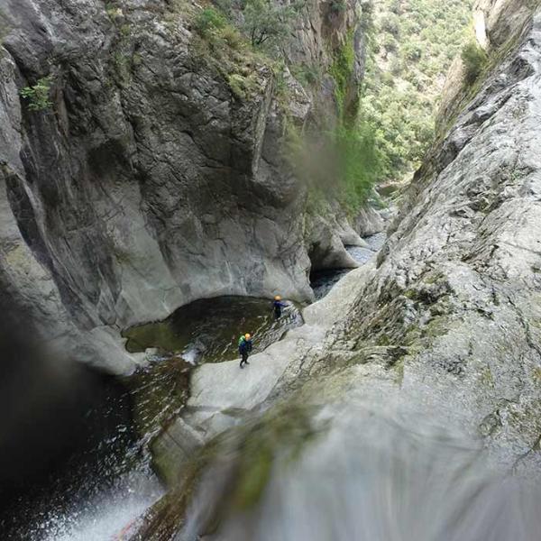 Canyon Audace 10