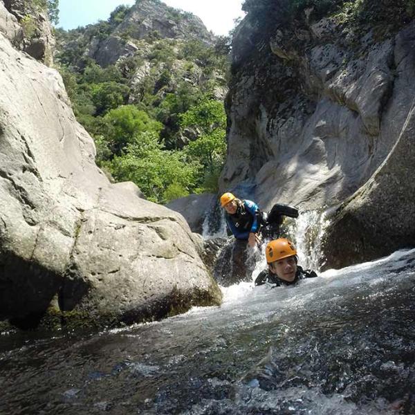 Canyon Audace 6